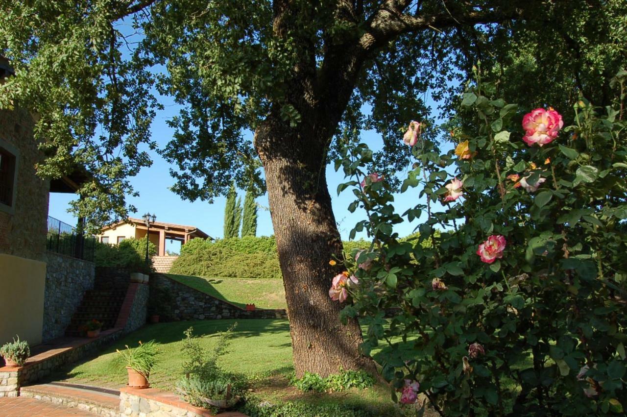 Agriturismo Il Palazzo Pergine Valdarno Bagian luar foto